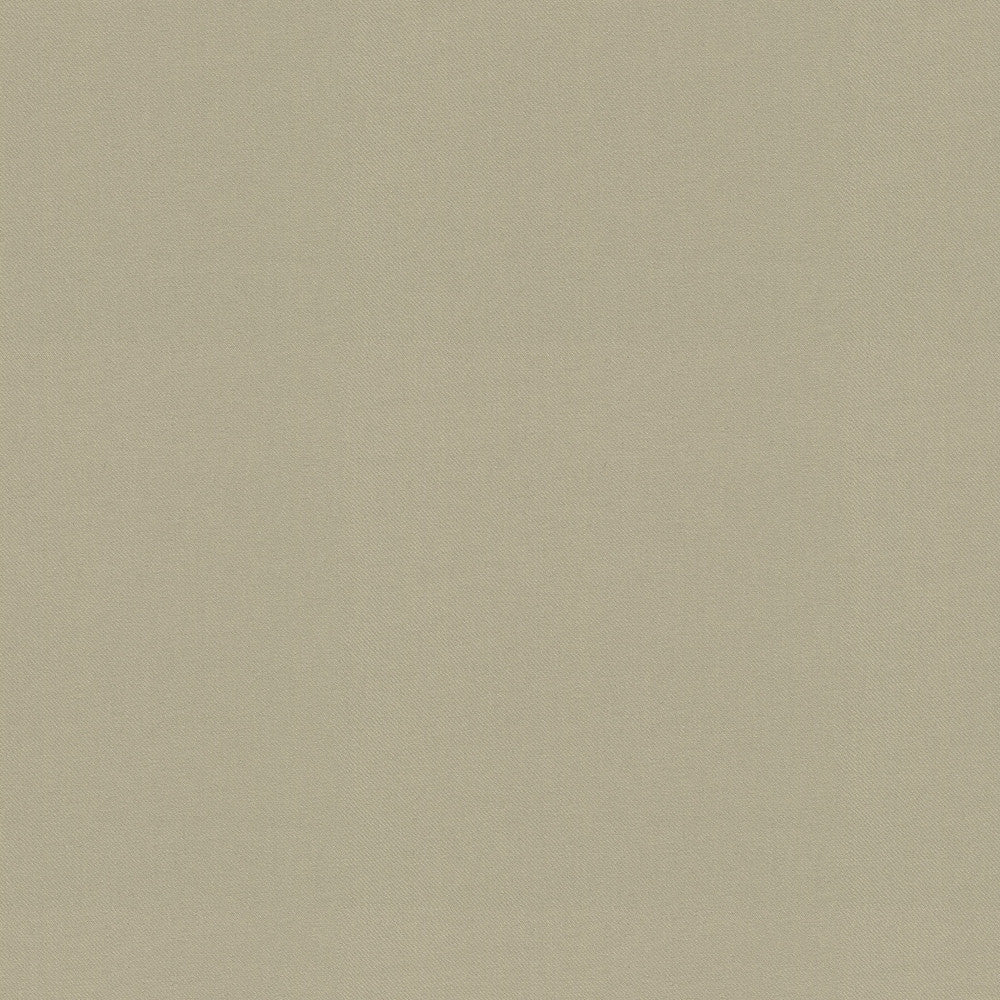 Raya Oyster 471434 by P/K LIFESTYLES Designer Fabric - 100% recycled polyester India 51000 Horizontal: 0 and Vertical: 0 56  - Swanky Fabrics -