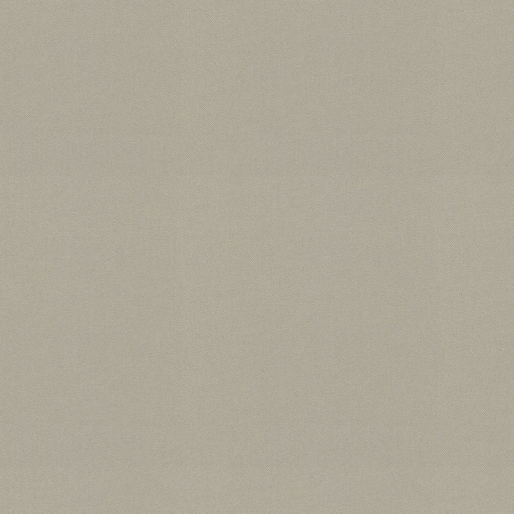 Raya Sterling 471435 by P/K LIFESTYLES Fabric - 100% recycled polyester India 51000 Horizontal: 0 and Vertical: 0 56 - Fabric Carolina -