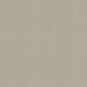 Raya Sterling 471435 By P/K Lifestyles Fabric