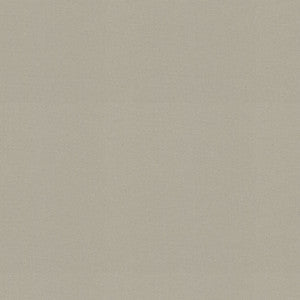 Raya Sterling 471435 By P/K Lifestyles Fabric