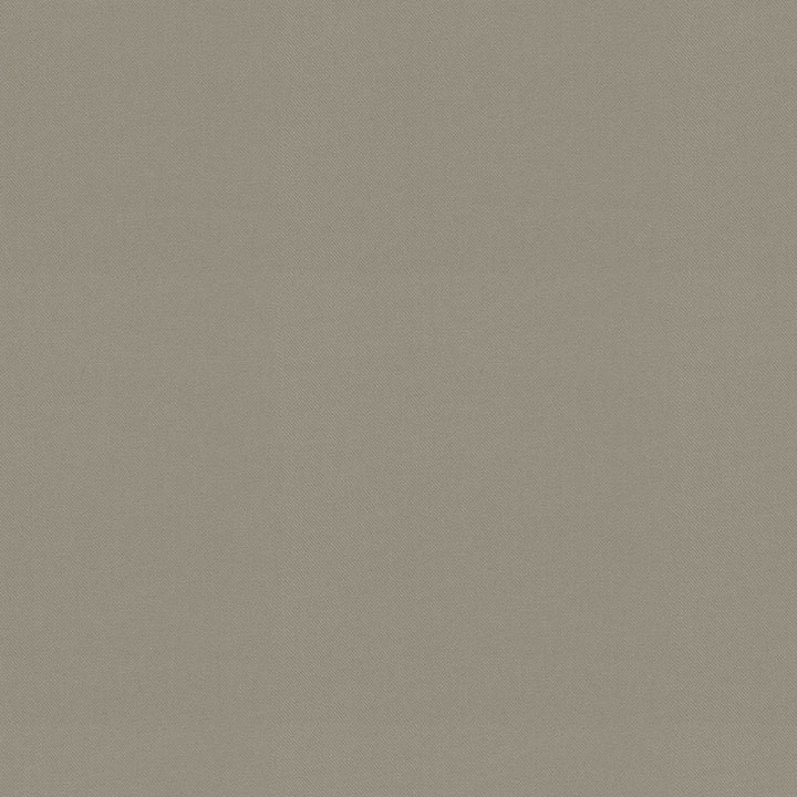 Raya Stone 471436 by P/K LIFESTYLES Fabric - 100% recycled polyester India 51000 Horizontal: 0 and Vertical: 0 56 - Fabric Carolina -