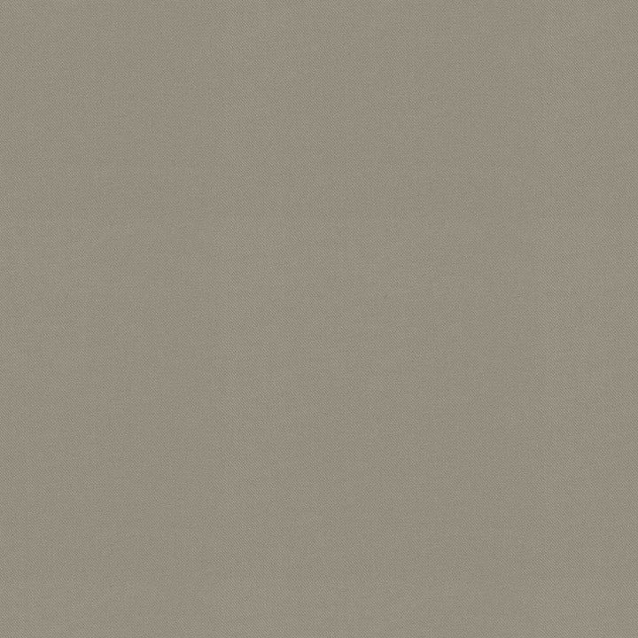 Raya Stone 471436 by P/K LIFESTYLES Designer Fabric - 100% recycled polyester India 51000 Horizontal: 0 and Vertical: 0 56  - Swanky Fabrics -