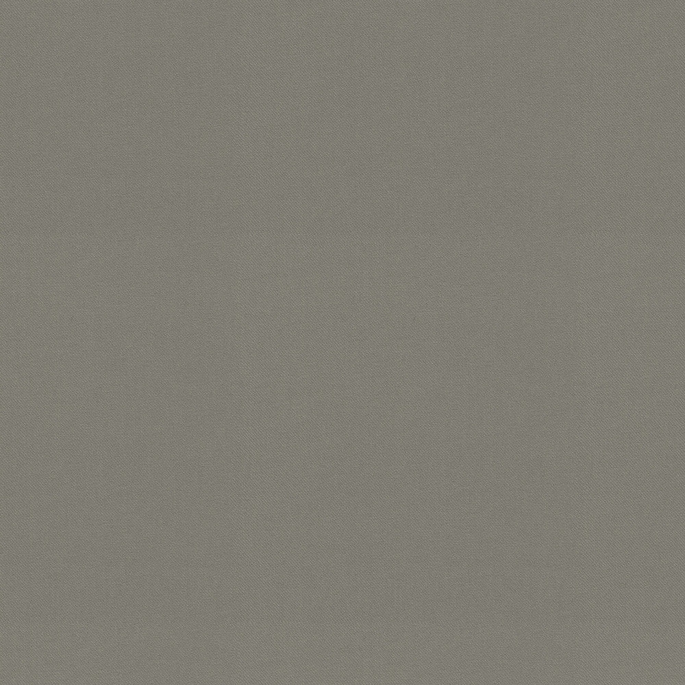 Raya Gray 471437 by P/K LIFESTYLES Designer Fabric - 100% recycled polyester India 51000 Horizontal: 0 and Vertical: 0 56  - Swanky Fabrics -