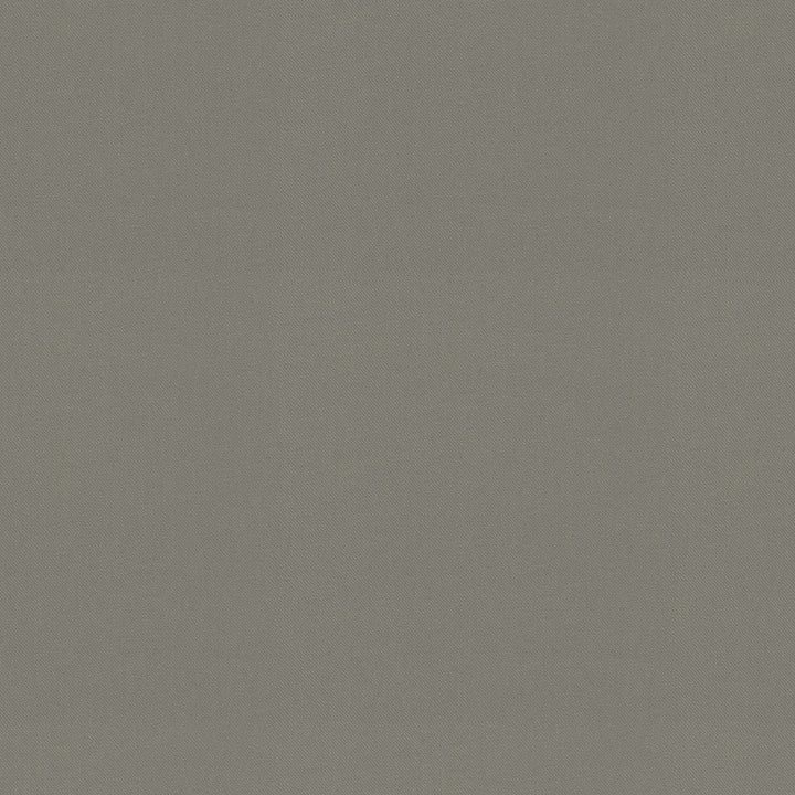 Raya Gray 471437 by P/K LIFESTYLES Designer Fabric - 100% recycled polyester India 51000 Horizontal: 0 and Vertical: 0 56  - Swanky Fabrics -