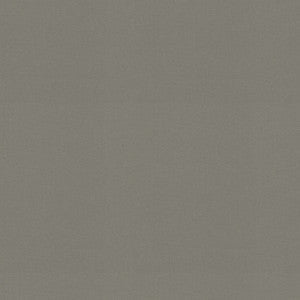 Raya Gray 471437 By P/K Lifestyles Fabric
