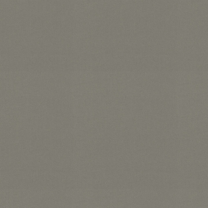 Raya Gray 471437 by P/K LIFESTYLES Fabric - 100% recycled polyester India 51000 Horizontal: 0 and Vertical: 0 56 - Fabric Carolina -