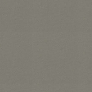 Raya Gray 471437 By P/K Lifestyles Fabric