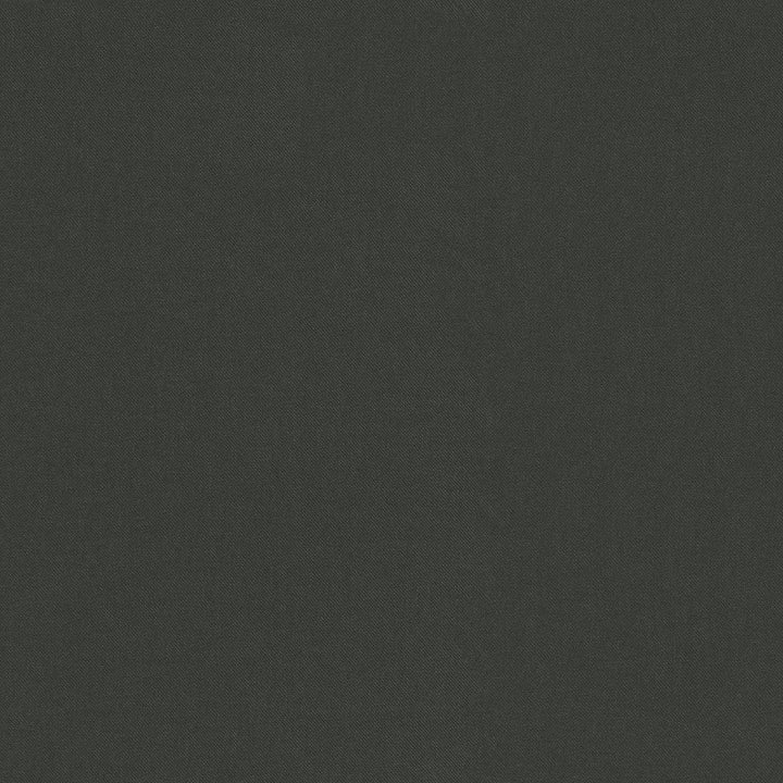 Raya Charcoal 471438 by P/K LIFESTYLES Designer Fabric - 100% recycled polyester India 51000 Horizontal: 0 and Vertical: 0 56  - Swanky Fabrics -