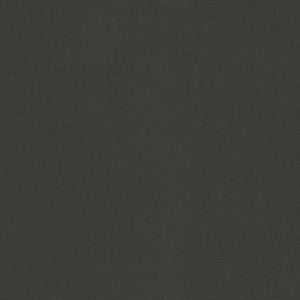Raya Charcoal 471438 By P/K Lifestyles Fabric