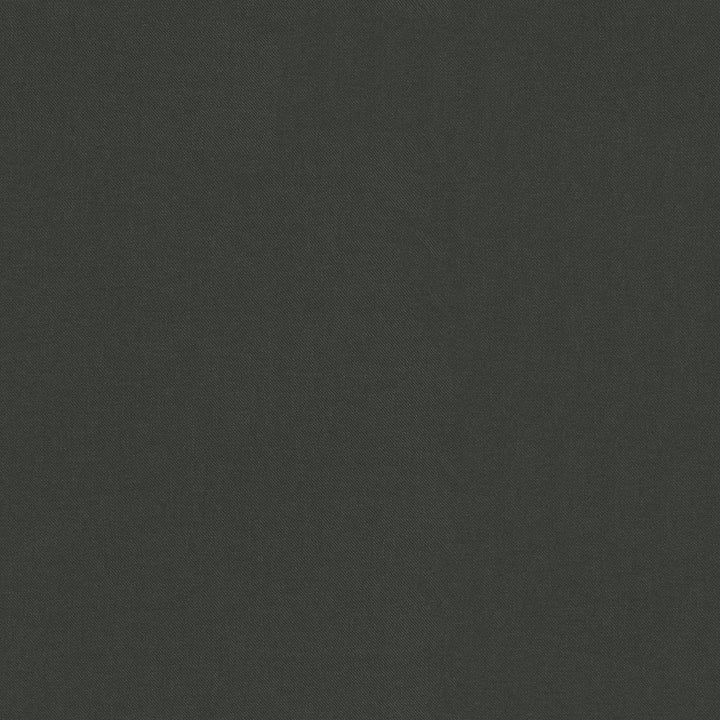 Raya Charcoal 471438 by P/K LIFESTYLES Fabric - 100% recycled polyester India 51000 Horizontal: 0 and Vertical: 0 56 - Fabric Carolina -