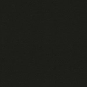 Raya Black 471439 By P/K Lifestyles Fabric