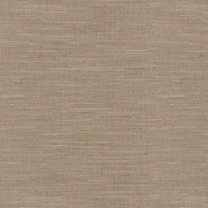 PK Lifestyles Fabric Santa Fe Orchid - 50% polyester, 35% rayon, 15% linen India 45000 Horizontal: 0 and Vertical: 0 55 - My Fabric Connection -
