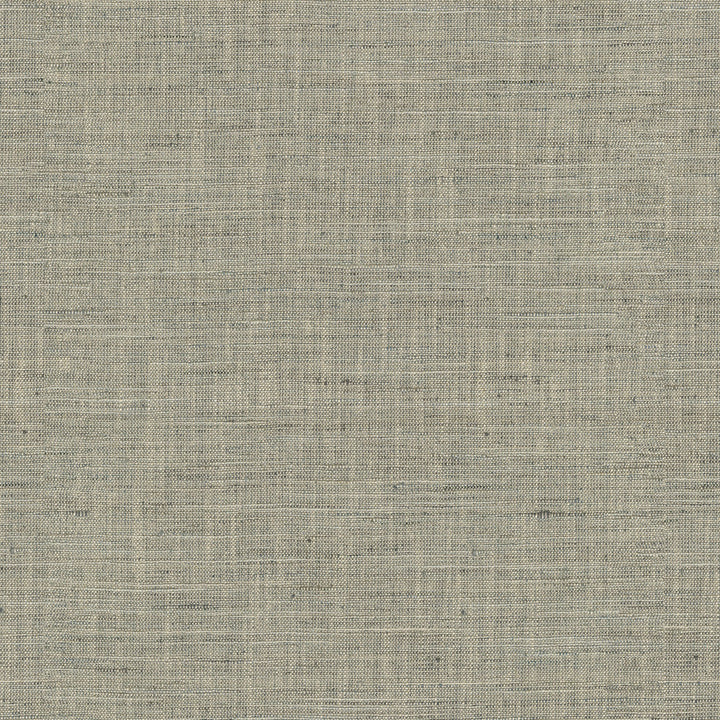 PK Lifestyles Fabric Santa Fe Quartz - 50% polyester, 35% rayon, 15% linen India 45000 Horizontal: 0 and Vertical: 0 55 - My Fabric Connection -