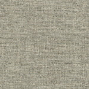 PK Lifestyles Fabric Santa Fe Quartz