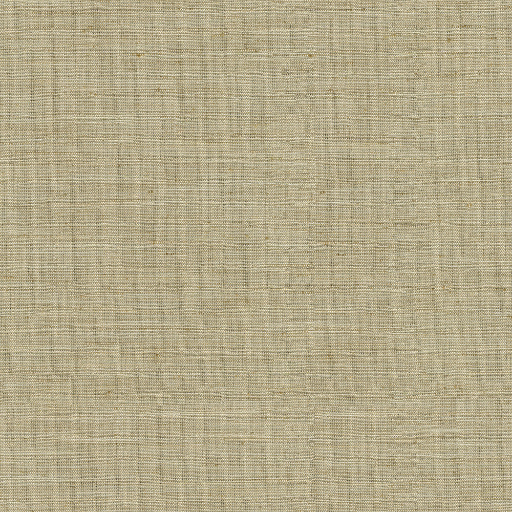 Santa Fe Linen by PK Lifestyles Designer Fabric - 50% polyester, 35% rayon, 15% linen India 45000 Horizontal: 0 and Vertical: 0 55 - Swanky Fabrics -