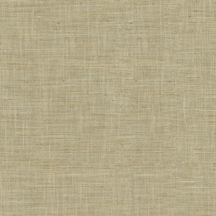 PK Lifestyles Fabric Santa Fe Linen - 50% polyester, 35% rayon, 15% linen India 45000 Horizontal: 0 and Vertical: 0 55 - My Fabric Connection -