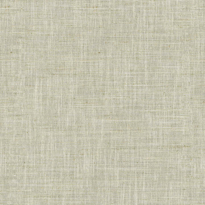 PK Lifestyles Fabric Santa Fe Parchment - 50% polyester, 35% rayon, 15% linen India 45000 Horizontal: 0 and Vertical: 0 55 - My Fabric Connection -