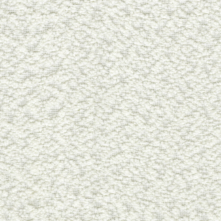 PK Lifestyles Fabric Fuzzy Feeling Snow - 100% polyester, 100% acrylic backed China 51000 Horizontal: 0 and Vertical: 0 57 - My Fabric Connection -