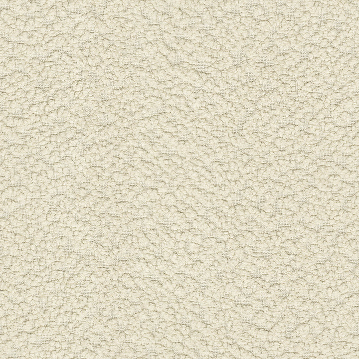 PK Lifestyles Fabric Fuzzy Feeling Cream - 100% polyester, 100% acrylic backed China 51000 Horizontal: 0 and Vertical: 0 57 - My Fabric Connection -