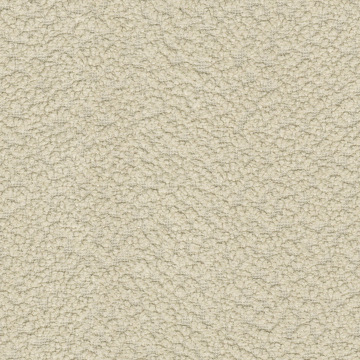 PK Lifestyles Fabric Fuzzy Feeling Flax - 100% polyester, 100% acrylic backed China 51000 Horizontal: 0 and Vertical: 0 57 - My Fabric Connection -