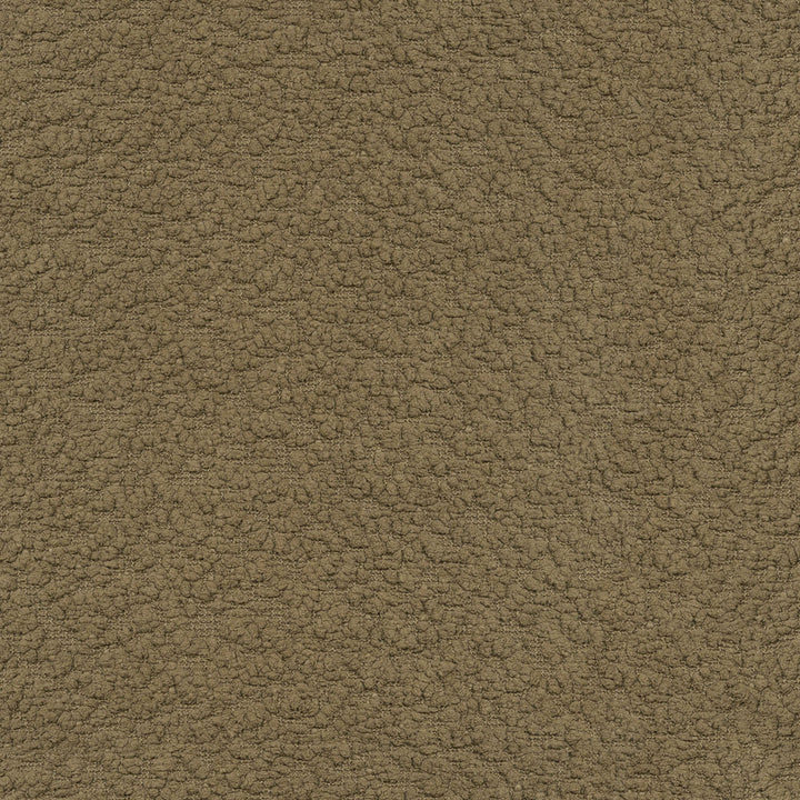 PK Lifestyles Fabric Fuzzy Feeling Woodland - 100% polyester, 100% acrylic backed China 51000 Horizontal: 0 and Vertical: 0 57 - My Fabric Connection -