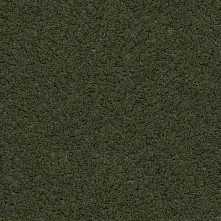 PK Lifestyles Fabric Fuzzy Feeling Moss - 100% polyester, 100% acrylic backed China 51000 Horizontal: 0 and Vertical: 0 57 - My Fabric Connection -