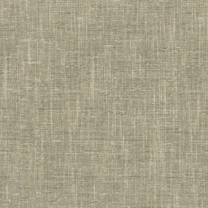 PK Lifestyles Fabric Accent Mineral - 97% polyester, 3% cotton India 50000 Horizontal: 0 and Vertical: 0 54 - My Fabric Connection -