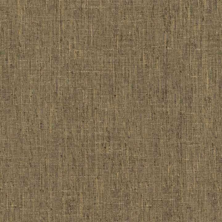 PK Lifestyles Fabric Accent Walnut - 97% polyester, 3% cotton India 50000 Horizontal: 0 and Vertical: 0 54 - My Fabric Connection -