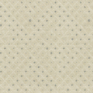 PK Lifestyles Fabric Fading Diamond Glacier