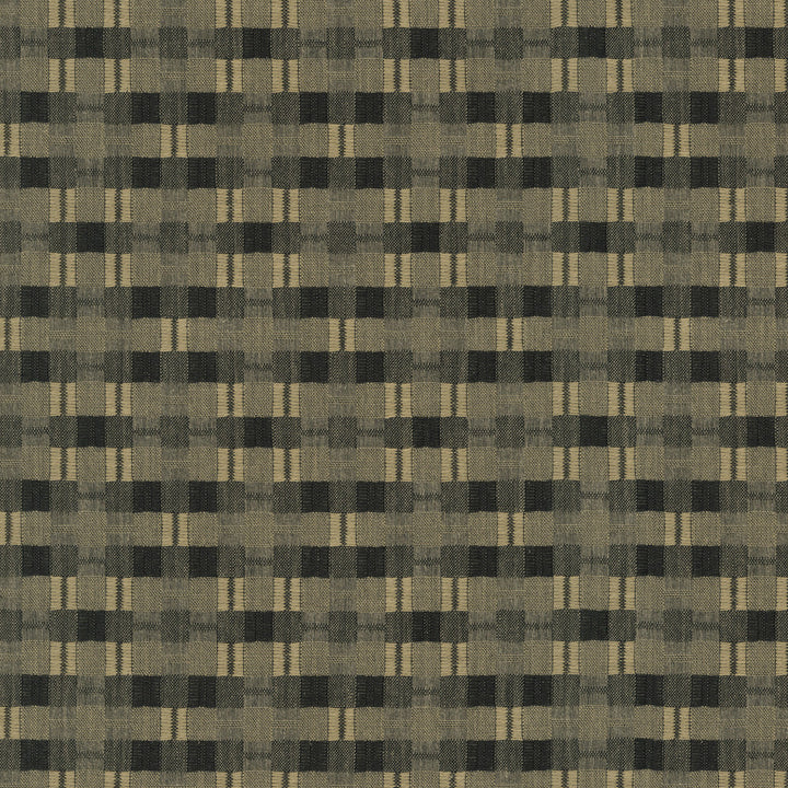PK Lifestyles Fabric Picnic Plaid Calligraphy - 59% polyester, 41% cotton India 51000 Horizontal: 0 and Vertical: 0 54 - My Fabric Connection -