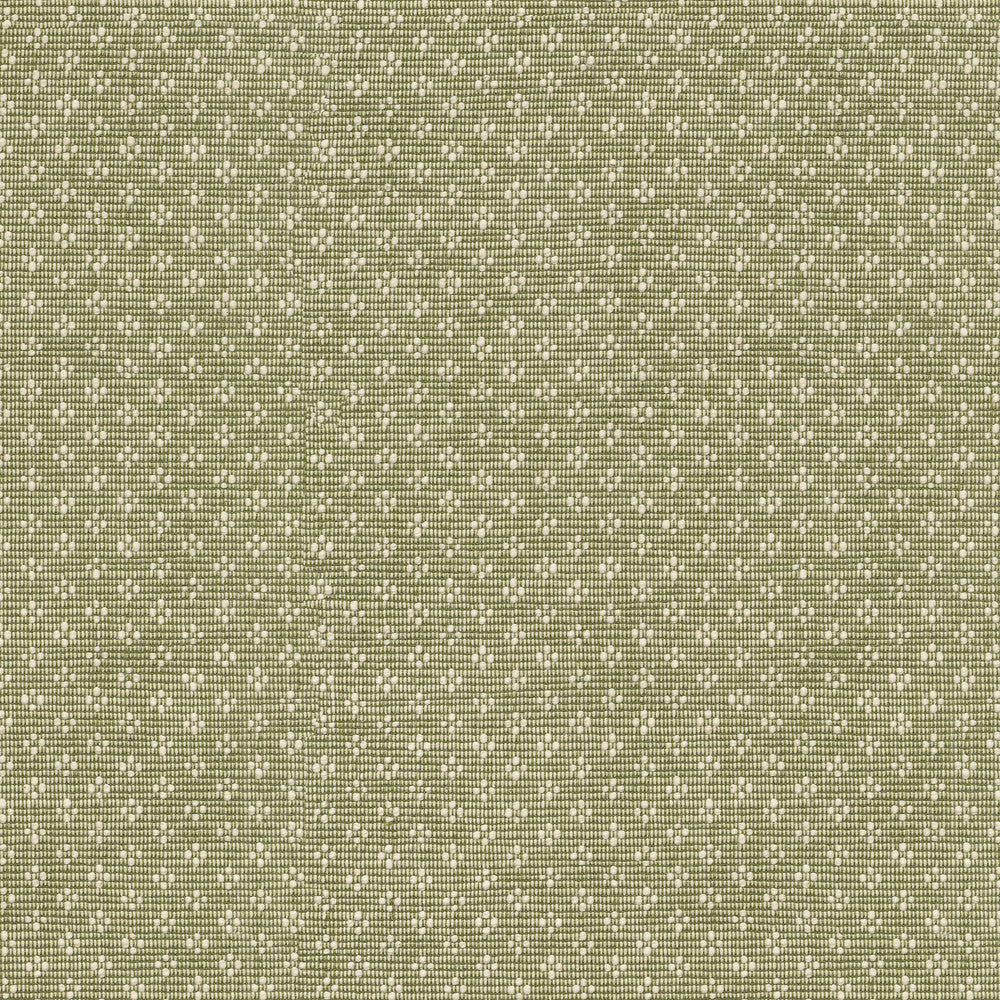 PK Lifestyles Fabric Bay Leaf Olive - 75% cotton, 25% polyester India 51000 Horizontal: 0.87 and Vertical: 0.63 54 - My Fabric Connection -