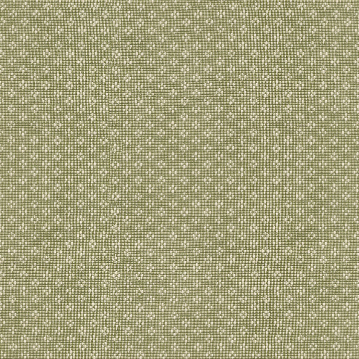 PK Lifestyles Fabric Bay Leaf Olive - 75% cotton, 25% polyester India 51000 Horizontal: 0.87 and Vertical: 0.63 54 - My Fabric Connection -