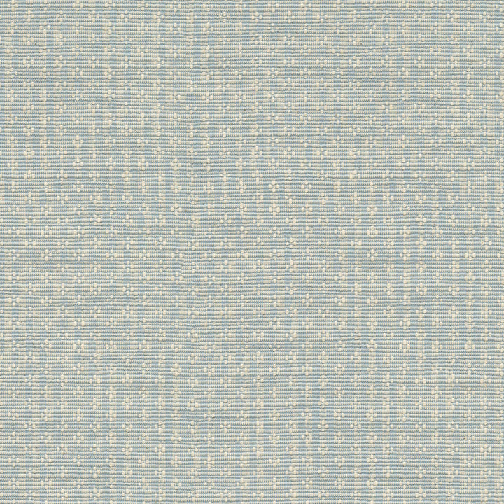 PK Lifestyles Fabric Bay Leaf Sky - 75% cotton, 25% polyester India 51000 Horizontal: 0.87 and Vertical: 0.63 54 - My Fabric Connection -