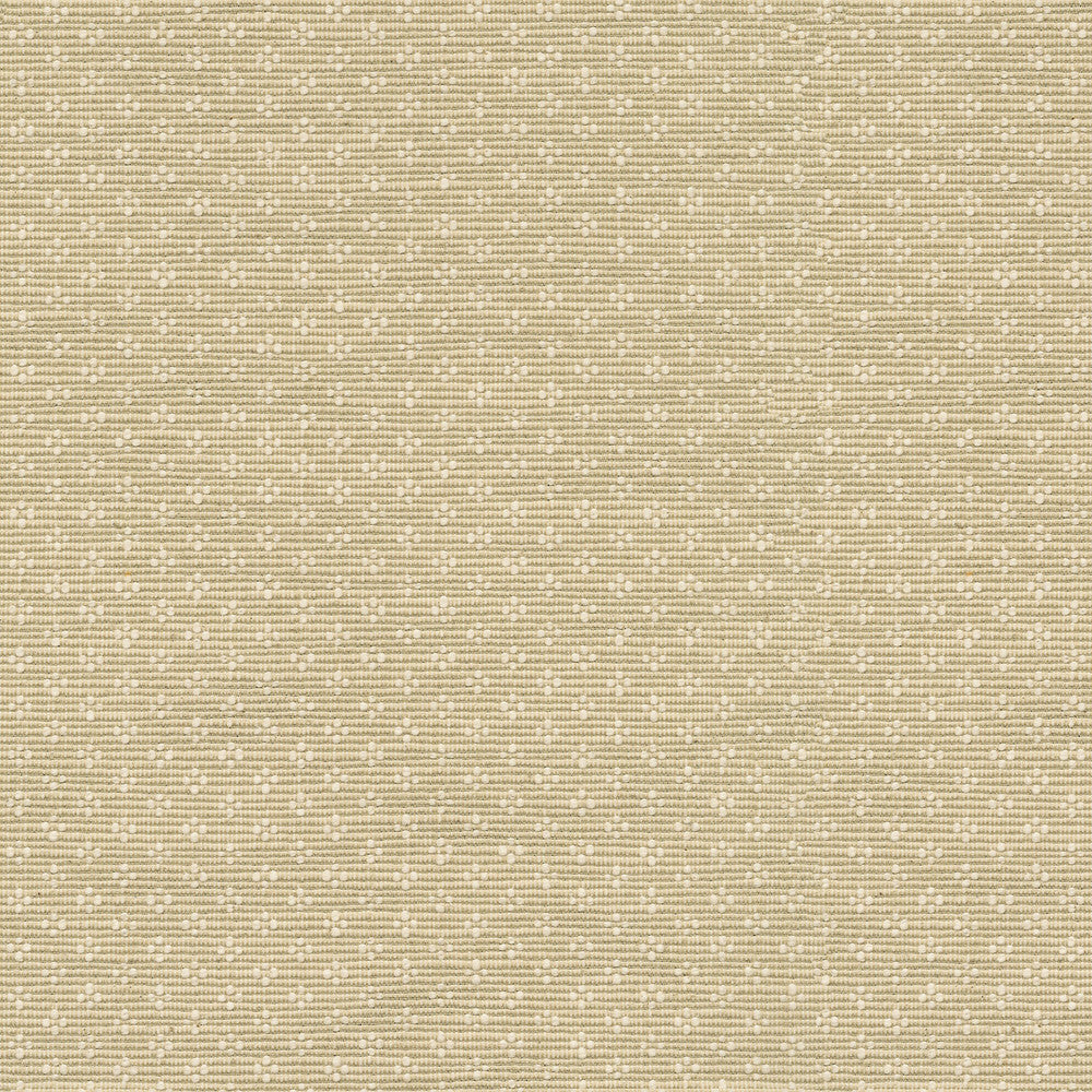 PK Lifestyles Fabric Bay Leaf Linen - 75% cotton, 25% polyester India 51000 Horizontal: 0.87 and Vertical: 0.63 54 - My Fabric Connection -