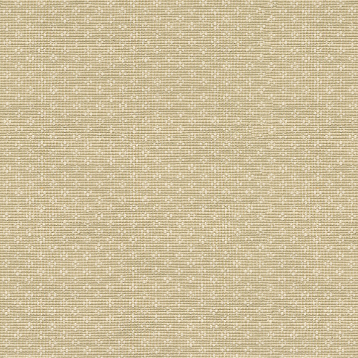 PK Lifestyles Fabric Bay Leaf Linen - 75% cotton, 25% polyester India 51000 Horizontal: 0.87 and Vertical: 0.63 54 - My Fabric Connection -