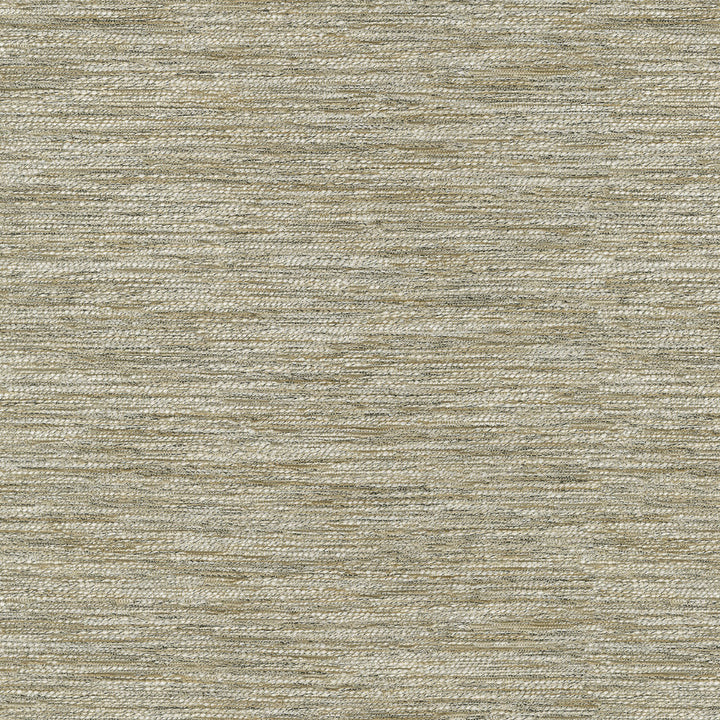 PK Lifestyles Fabric Dylan Papyrus - 100% polyester India 51000 Horizontal: 0 and Vertical: 0 54 - My Fabric Connection -