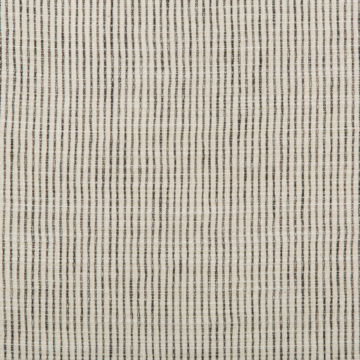4720-81 by Kravet Basics Fabric POLYESTER - 100% Turkey Horizontal: 0 and Vertical: 0 116 - Fabric Carolina -