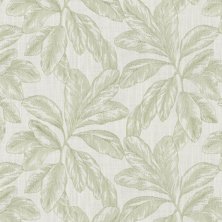 Paradise Emb Celery 472130 by PK Lifestyles Fabric Design by Nature VIII Base: 75% Cotton, 25% Polyester EMB: 100% Rayon India 33000 H: 13.25, V: 9.25 53 - Fabric Carolina -