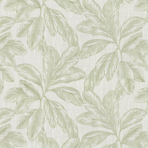 Paradise Emb Celery 472130 by PK Lifestyles Fabric