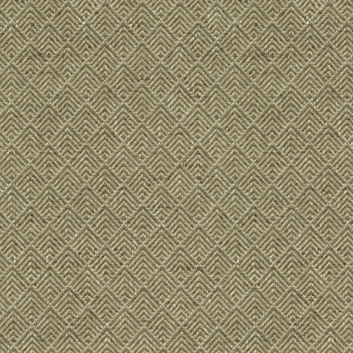 Facet Sepia 472182 by PK Lifestyles Fabric Cultural Exchange IX 86% Polyester. 14% Cotton India 51000 H: 1.375, V: 1.4 54 - Fabric Carolina -