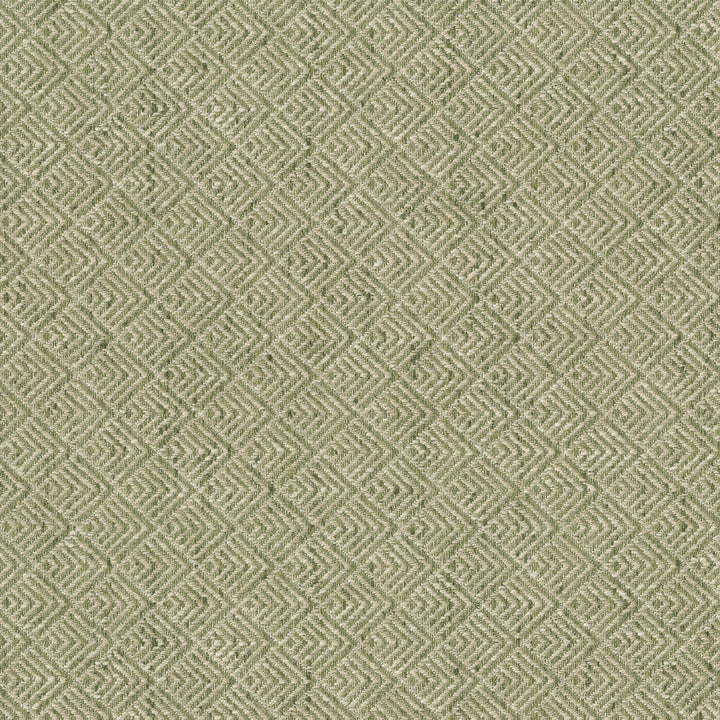 Facet Leaf 472185 by PK Lifestyles Fabric Cultural Exchange IX 86% Polyester. 14% Cotton India 51000 H: 1.375, V: 1.4 54 - Fabric Carolina -