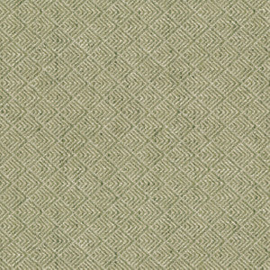 Facet Leaf 472185 by PK Lifestyles Fabric
