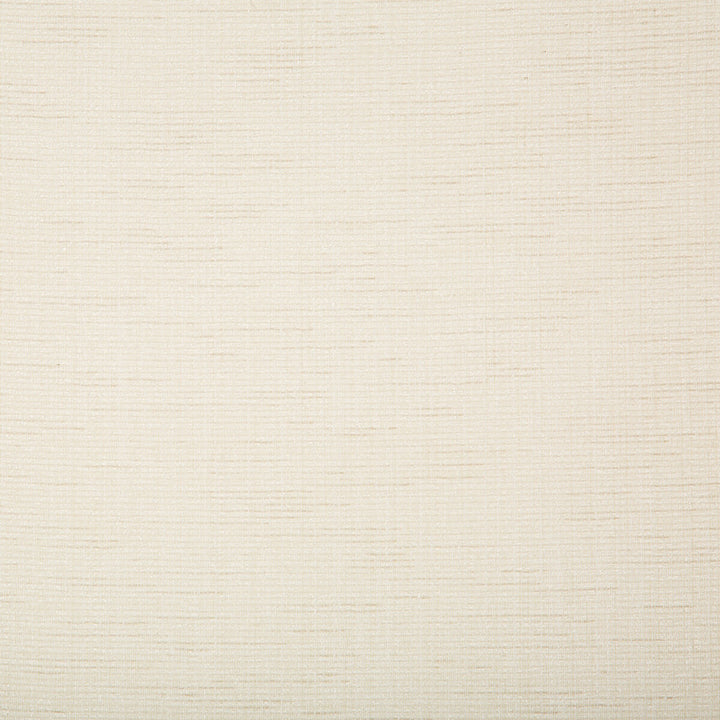 4721-1 by Kravet Basics Fabric POLYESTER - 100% Turkey Horizontal: 0 and Vertical: 0 116 - Fabric Carolina -