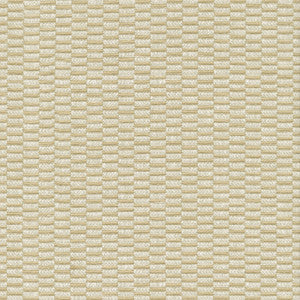 Stacked Cornsilk 472201 by PK Lifestyles Fabric