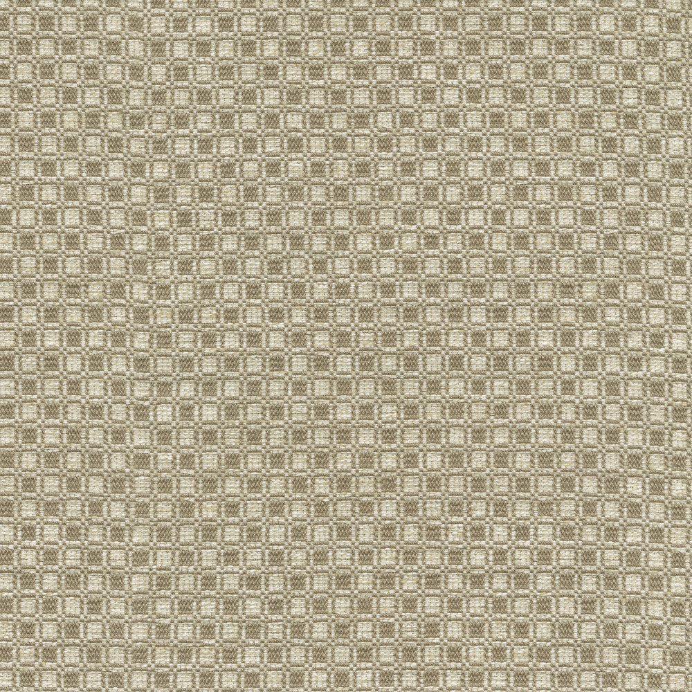 Outside the Box Taupe 472211 by PK Lifestyles Fabric Expressionist VI 74% Polyester, 26% Cotton India 51000 H: 1, V: 0.875 54 - Fabric Carolina -