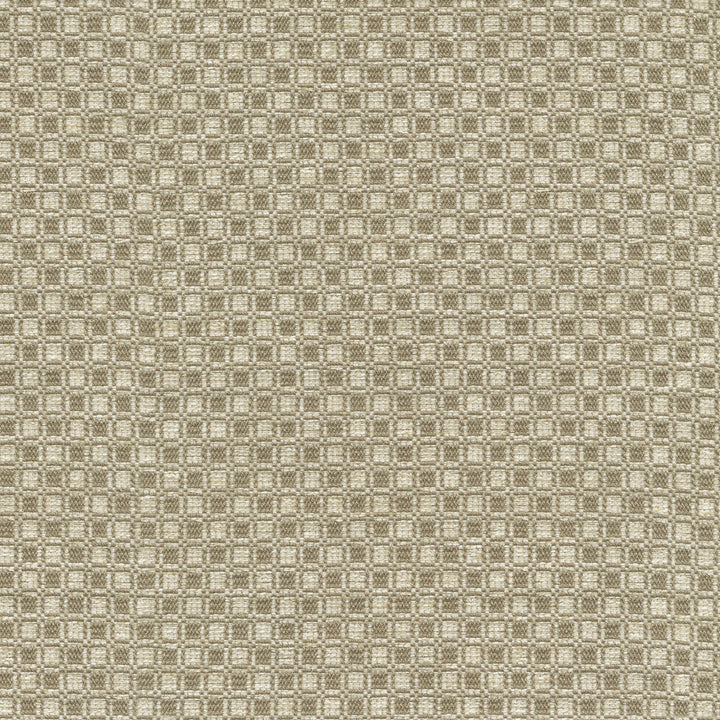 Outside the Box Taupe 472211 by PK Lifestyles Fabric Expressionist VI 74% Polyester, 26% Cotton India 51000 H: 1, V: 0.875 54 - Fabric Carolina -