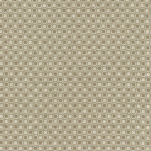 Outside the Box Taupe 472211 by PK Lifestyles Fabric
