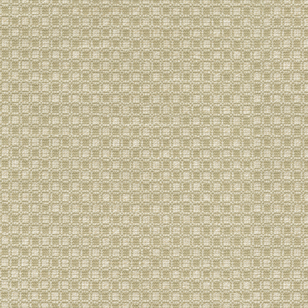 Outside the Box Oat 472212 by PK Lifestyles Designer Fabric Expressionist VI 74% Polyester, 26% Cotton India 51000 H: 1, V: 0.875 54 - Swanky Fabrics -
