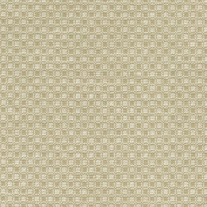 Outside the Box Oat 472212 by PK Lifestyles Fabric