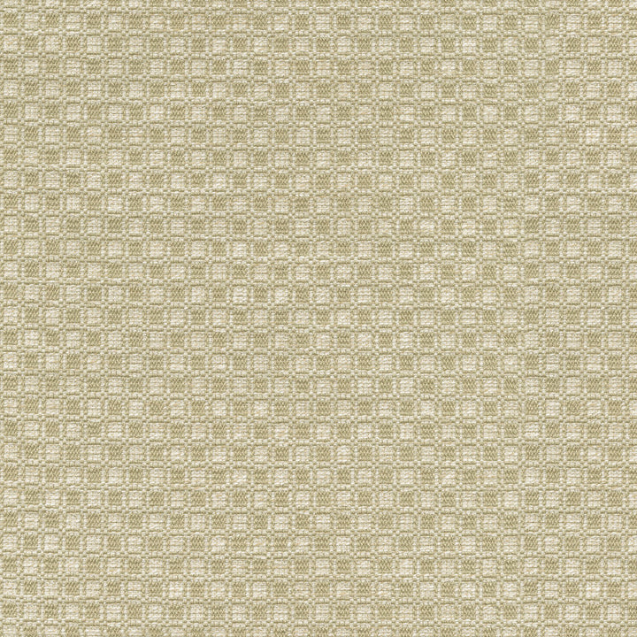 Outside the Box Oat 472212 by PK Lifestyles Fabric Expressionist VI 74% Polyester, 26% Cotton India 51000 H: 1, V: 0.875 54 - Fabric Carolina -